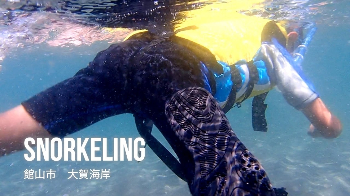 大賀海岸、海の中の世界をご覧くださいのイメージイラスト