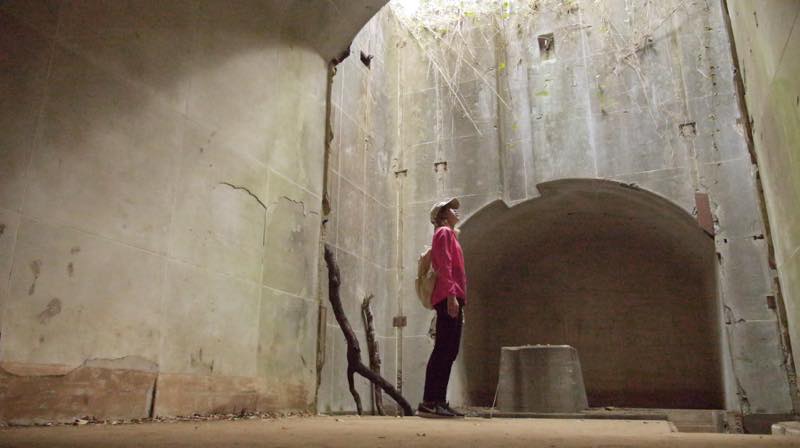 ハイキングやキャンプで大人気