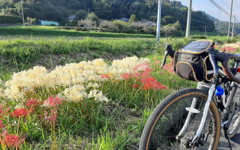 里山から海へ自由気ままに周遊