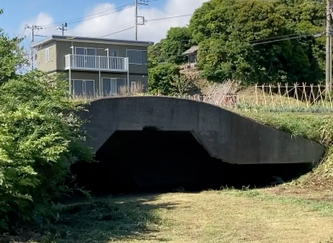 長閑な散歩道に突然コンクリートの建造物が！