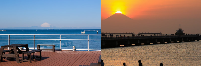 渚の駅たてやま・夕陽桟橋