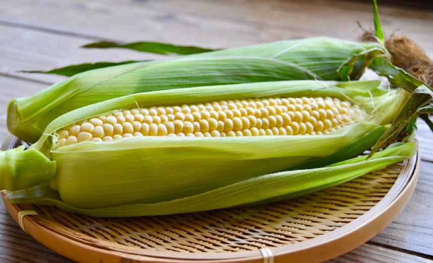 焼いてよし、茹でてよし、生食できる品種も トウモロコシ