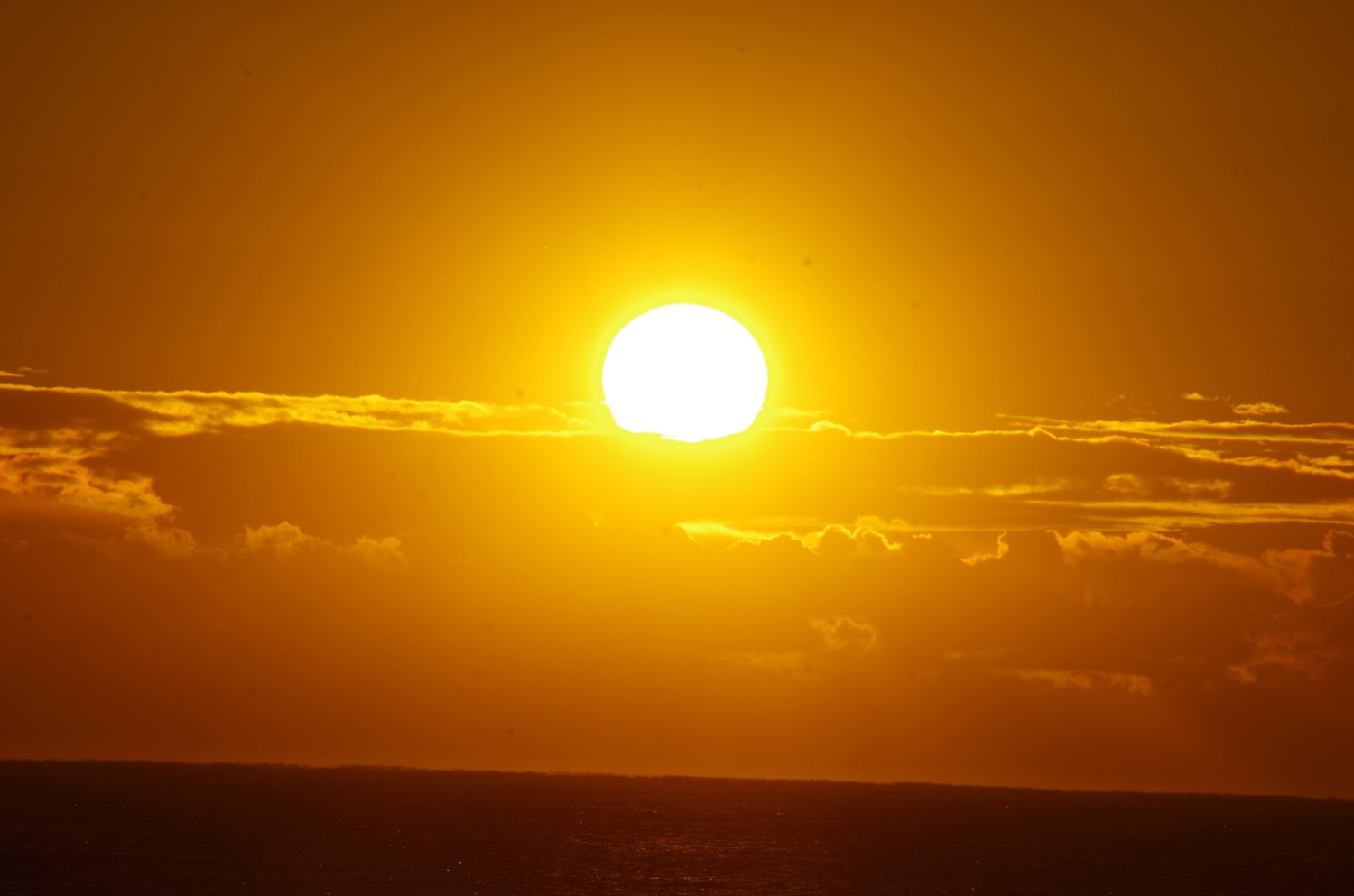 【元日イベント】開運「初日の出餅投げ」