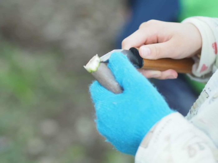 【くじらのもり自然体験ツアー】冬の生き物調査とクロモジ茶とクラフト