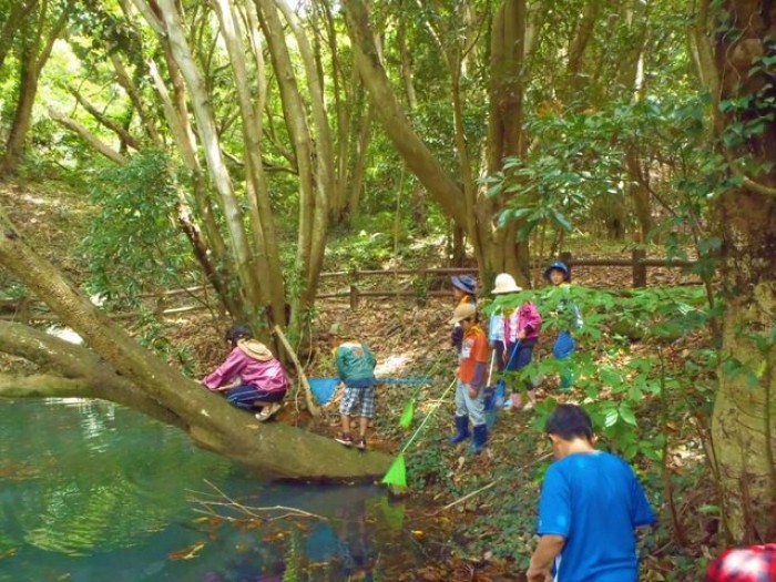 岬レンジャー　サンショウウオの観察と森づくり