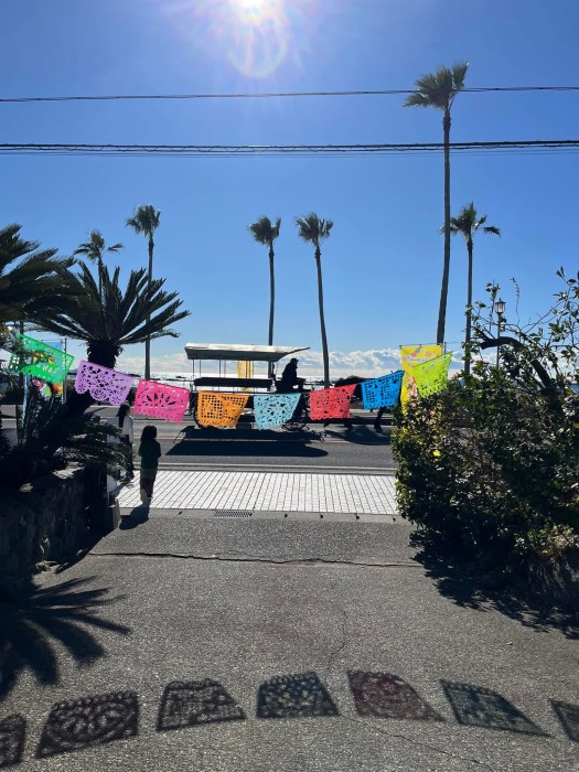 メルカド・ファロブランコ