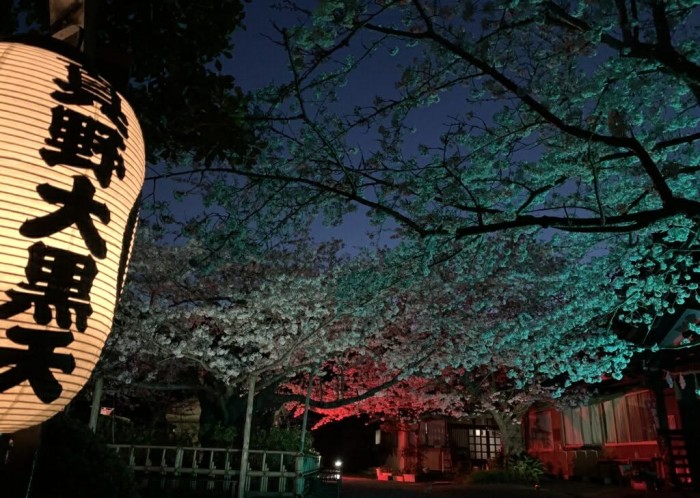 行基菩薩により開山されたと伝えられる、1300年の歴史を持つ古刹