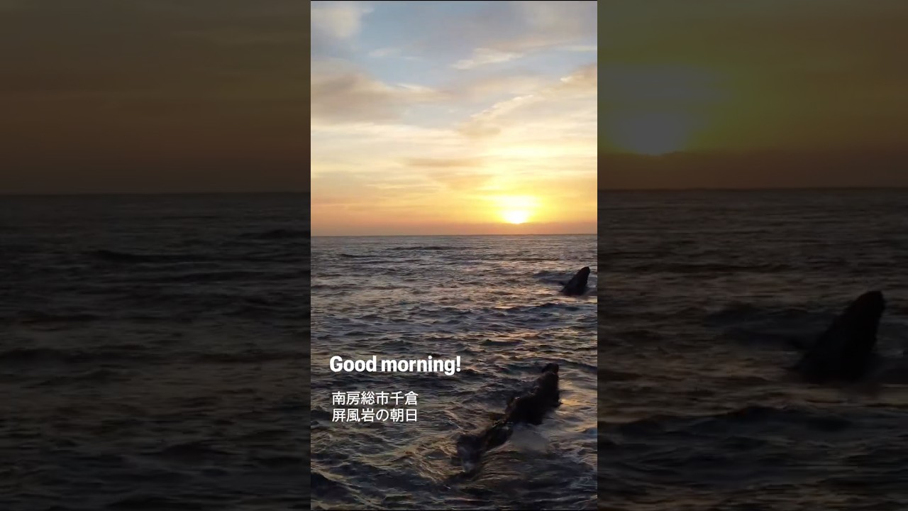 おはよう、昇る朝日。 #南房総 #移住 #田舎暮らし