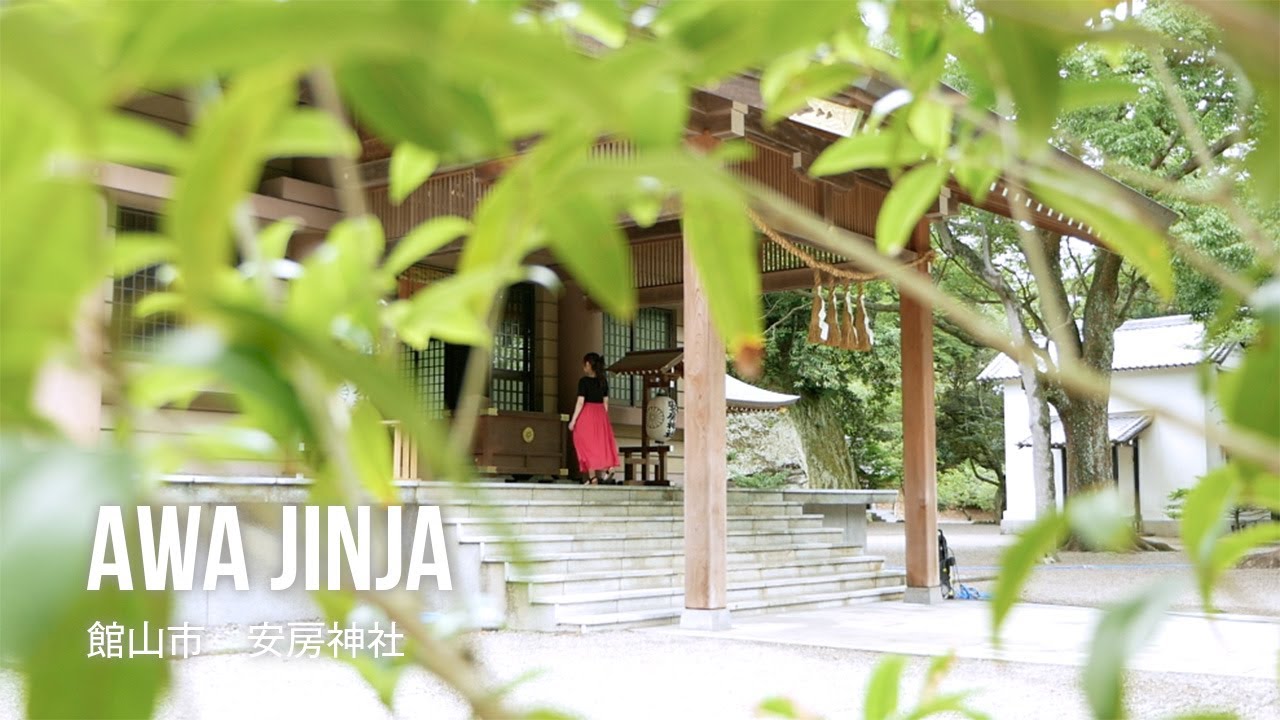 film0470 館山市 安房神社「心が清らかになるひとり女子旅」