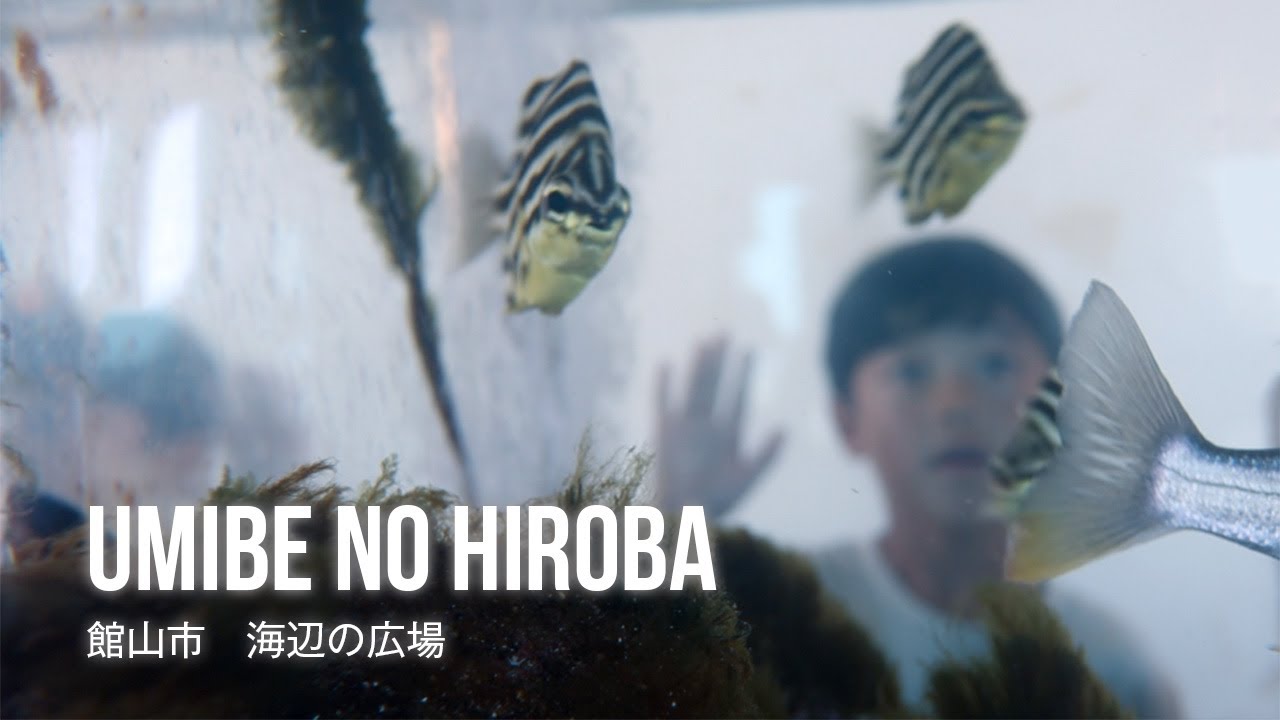 film0470 館山市 海辺の広場「館山湾の水族館」