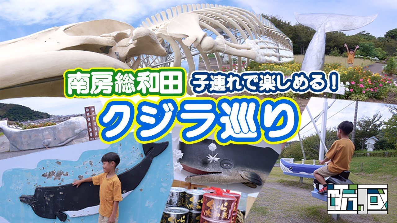 鯨に出会える和田町　見て食べて学ぶクジラ文化